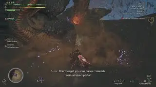 Balahara continuous damage glitch