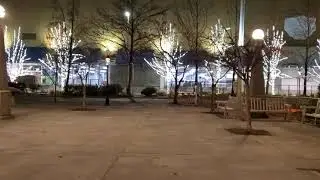 Bellevue Downtown Park. Парк так празднично украшен в первый раз!!!!
