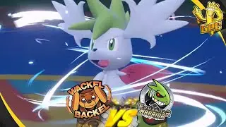 Jirachi's Cousin! - GPC - Spieltag 5 - vs. @larando02 - Wackel Backel!