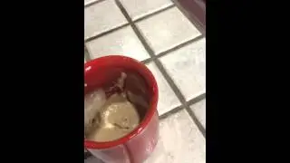 herbalife formula 1 mug cake recipe