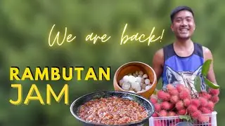 HARVESTING RAMBUTAN + Making Rambutan Jam | Raffy Channel Update - Tagalog/English