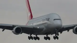 Back-to-Back A380 Action at LAX! Emirates New Livery, Qantas, Delta A350 | broadway aviation