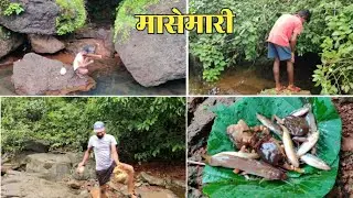 व्हाळात गरवून मासे पकडण्याची धम्माल , गळाने पकडले छोटे मासे  | Kokan fishing #TejaGurav