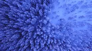 Winter 3D Animation background blue light purple colour