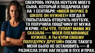 Свекровь украла ноутбук сына, который я подарила ему на 1 сентября: «Моей внучке в школе он нужнее!»