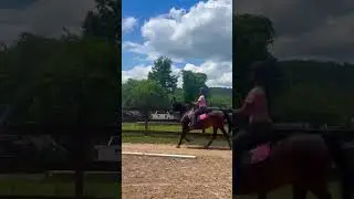 ready for the show ! #horse #equestrian #saddleseat #morgan