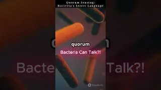 Quorum Sensing: Bacteria's Secret Language