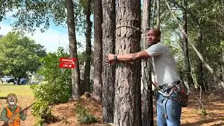 How to Use a Lineman Rope | Safe First Movement for Tree Climbing Hunters