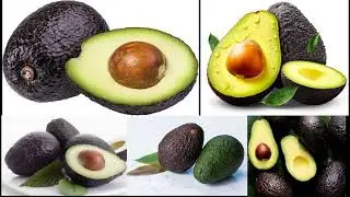 AVOCADO BENEFITS FOR BODY WEAKNESS /  ایوکاڈو  اور جسمانی کمزوری