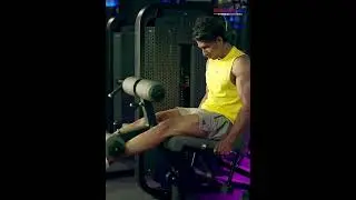 Leg Extension HCSP-114 | Build Powerful Quads with Precision & Comfort | Hilton Fitness