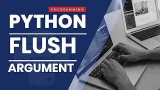05 Python Fundamentals Arabic   #05   Flush argument in Print Function