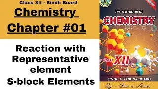 Reaction with Representative elements | s-block Elements | Chapter #1 -Sindh board -By Umm e Aiman