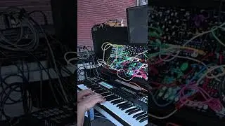 Quantum Synths, #sbsc #openmic #sanjose #california #subzerofestival @SubZEROfestival​ #synth #live