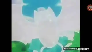 Pokemon Brock zubat evolve into golbat