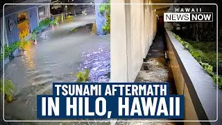 Cleanup underway after tsunami floods seaside Hilo hotel