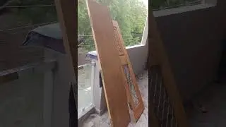 fake saguan grain