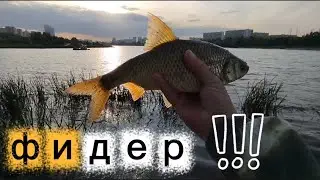 Рыбалка на фидер в августе fishing fisherman 