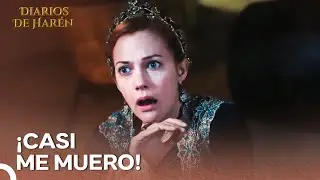 Apuñalaron A Hürrem En El Harén | Diarios De Harén
