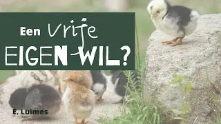 Heeft de mens een vrije eigen wil? - E. Luimes