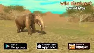 Wild Elephant Sim: Game Trailer for iOS and Android