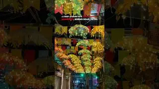 AnandPuri Boring Road Unique Theme Pandal Decoration 💗😍