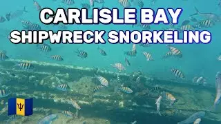 Carlisle Bay Shipwreck Snorkeling | Barbados Beach & Travel Vlog