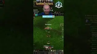 And its gone ... | FalganWoW #sauercrowd #worldofwarcraft #wowhc #wow #wowclassic #falganwow