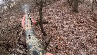 Late season rabbit hunting beating the brush!