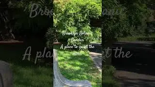 A place to quiet the mind. #mind #contemplation #daytoday #brooklyn