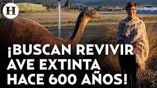 &iexcl;Como con el Lobo terrible! Colossal Biosciences y Peter Jackson buscan 