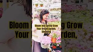 Bloom into Spring Grow Your Dream Garden, Shopping Veggies & Flowers      #NurseryShopping #shorts