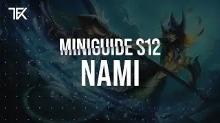 Nami Miniguide S12 german | TFK