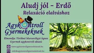 Agykontroll Gyermekeknek : Aludj j&oacute;l - Erdő - Relax&aacute;ci&oacute; elalv&aacute;shoz