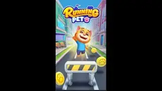 Running Pet Dec Room