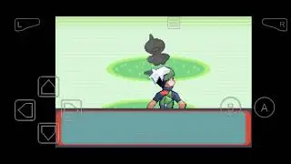 [GBA]포켓몬스터 에메랄드 14화
