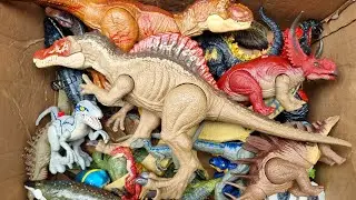 Dinosaur Jurassic World Toy In The Box ASMR Review