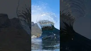 🌊💙