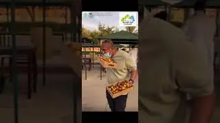 سوق التمور في الدرعية 2021