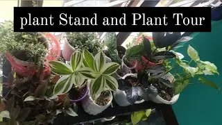 My new cheapest plant stand with plant tour/Plant stand/ Plant rack/Plant tour/ plant stand ideas