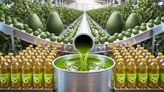 How Avocado Oil Is Made | Full Factory Process from Fresh Avocados to Bottling