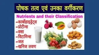 PowerPoint Presentation on balanced diet|Science Topic| ppt on संतुलित आहार|