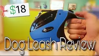 Testing The Best Dog Leash On AMAZON