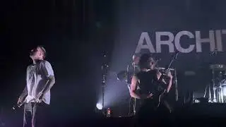 Architects - 