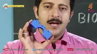 KITE VICTERS STD 09 Biology Class 23 (First Bell-ഫസ്റ്റ് ബെല്‍)