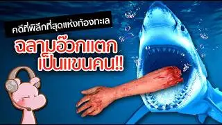 พบฉลามอ้วกเป็นแขนมนุษย์!! ที่นำไปสู่คดีลึกลับสุดพิสดาร!! #คดีไดอะรี I แค่อยากเล่า...◄2130►