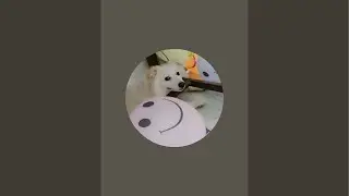 Pluto_the_Badmash is live