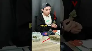 &iquest;Cu&aacute;l es la mejor flor?