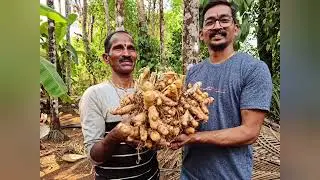 गारवा कृषी पर्यटन केंद्र- आबलोली l