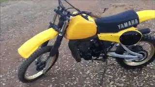 1981 YZ465