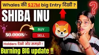 Shiba INU coin news today🚨? Whales Big Entry & Burning🔥| Shiba inu latest updates |Crypto news today